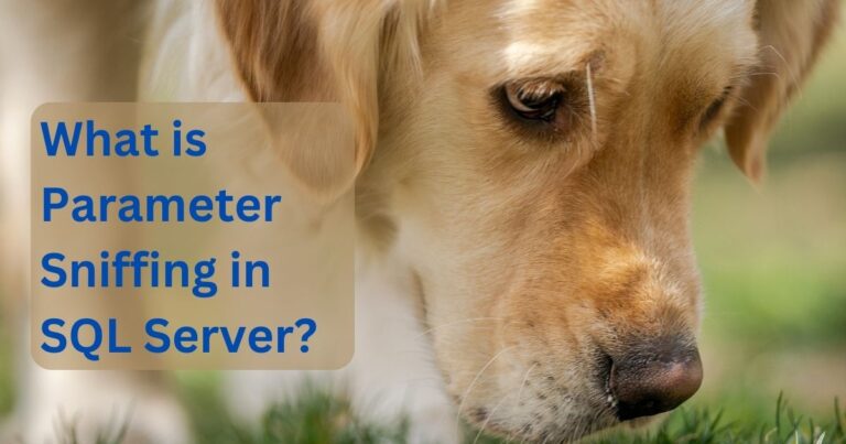 What is Parameter Sniffing in SQL Server